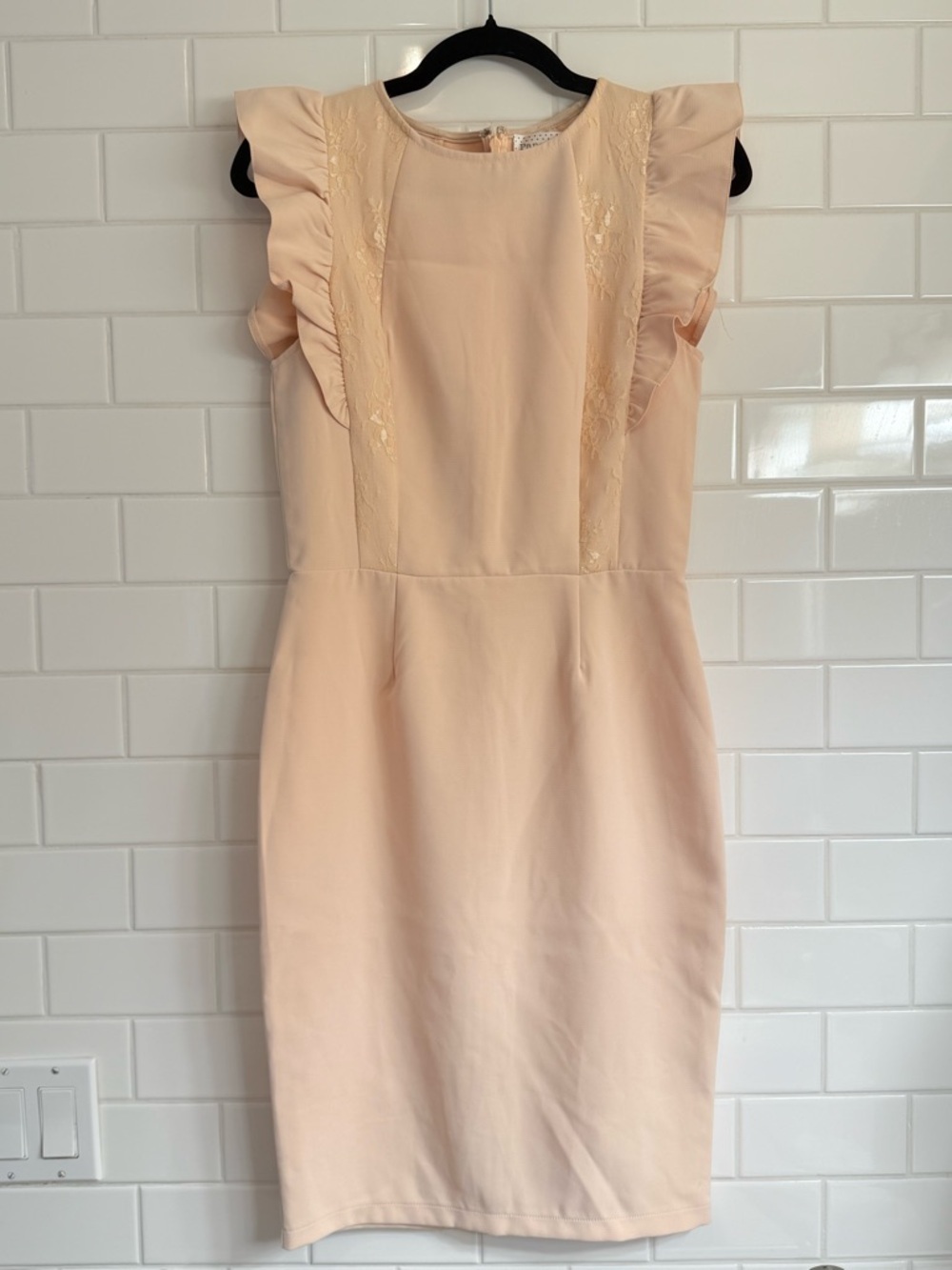 Paper Dolls Blush Ruffle Sleeve Lace Sheath Dress US 6 UK 10 NWOT